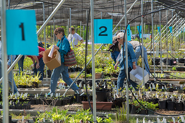 People shopping at the Earth Sangha native plant sale.